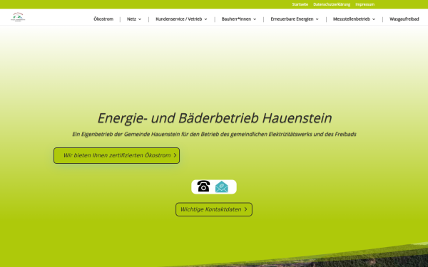 energiehauenstein.de
