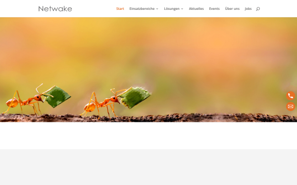 www.netwake.com