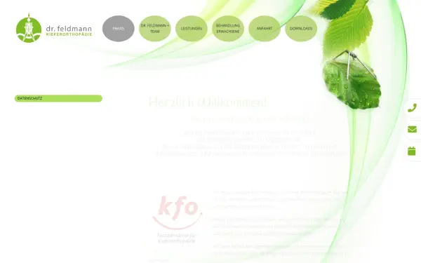 dr-feldmann.de