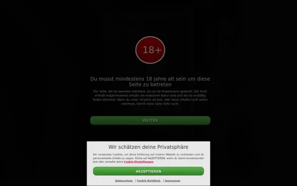 www.ao-ficken.de