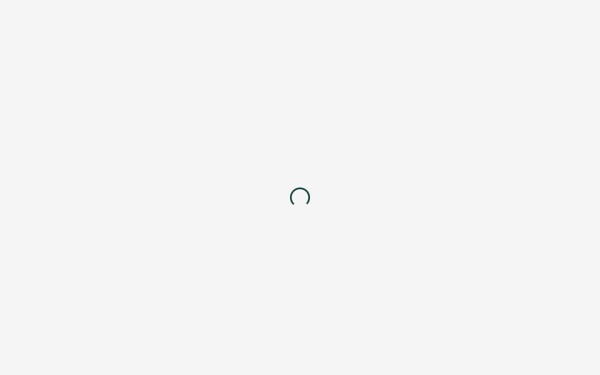 blank-apartments.de