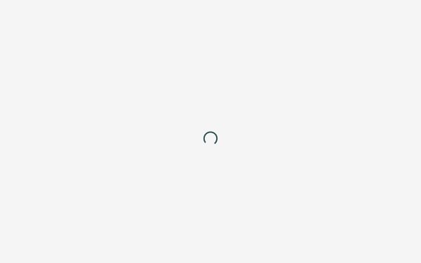 blank-apartments.de