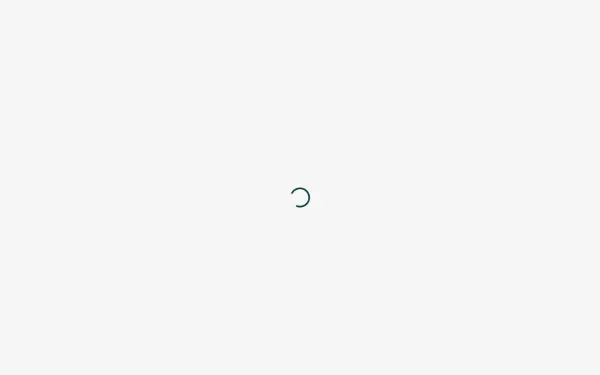 blank-apartments.de