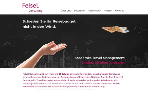 www.feisel-consulting.de