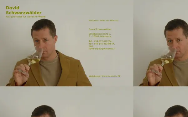 david-schwarzwaelder.de