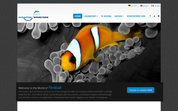 barakuda-diving.com