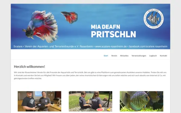 www.scalare-rosenheim.de