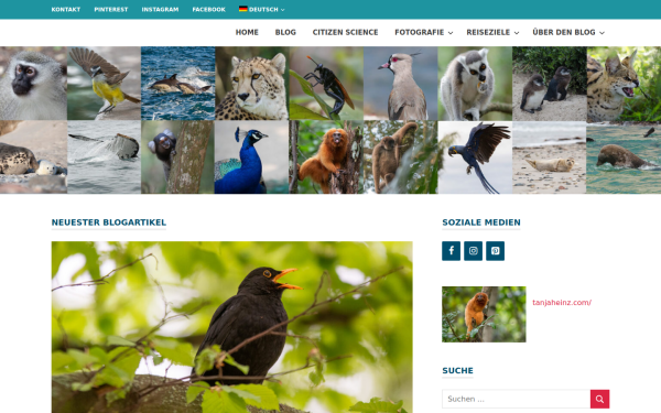 wildlife-travel.com