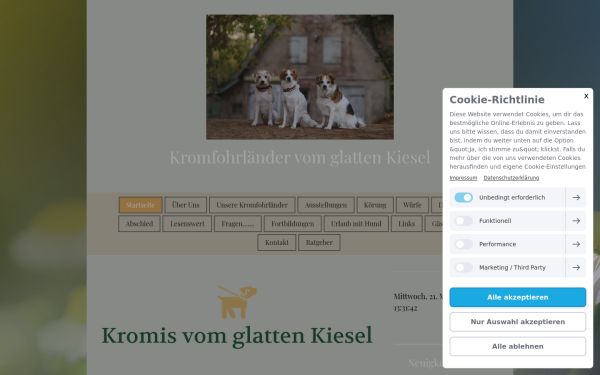 www.kromfohrlaender-vom-glatten-kiesel.de