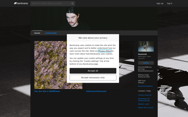 hominidhominid.bandcamp.com