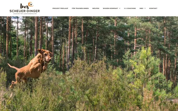 www.ines-scheuer-dinger.de