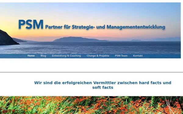 www.psm-partner.de
