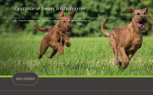 cystinurie-irishterrier.de