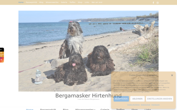 bergamasker-hirtenhund.info