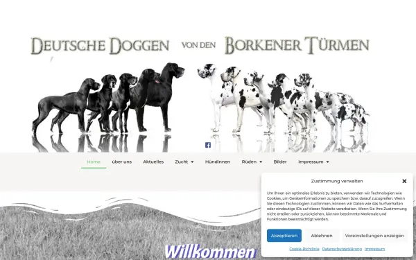 deutsche-doggen-von-den-borkener-tuermen.de