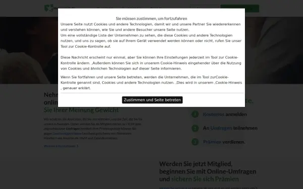 www.meinungsstudie.de