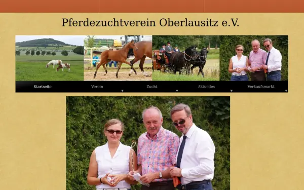 pzv-ol.de