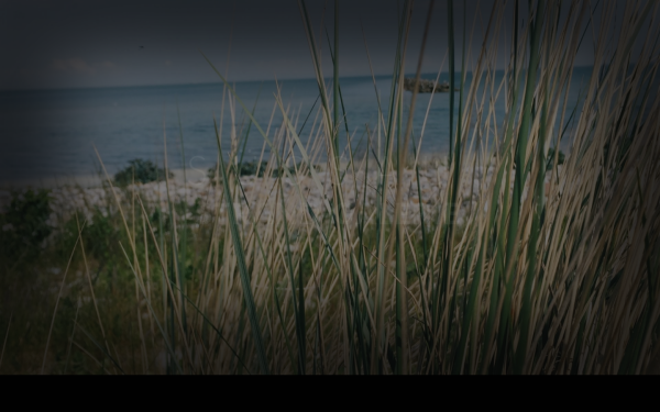 strand-galerie.de