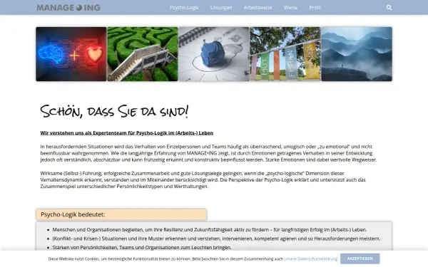 manage-ing.de