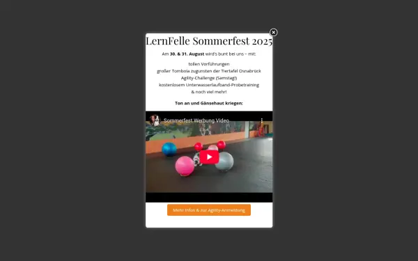 www.lernfelle.de