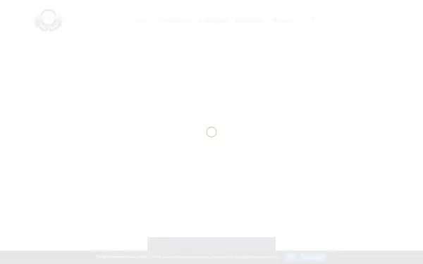 angelsecurity.de
