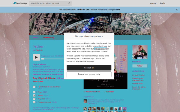 pleather69.bandcamp.com