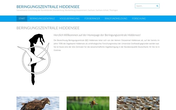 www.beringungszentrale-hiddensee.de