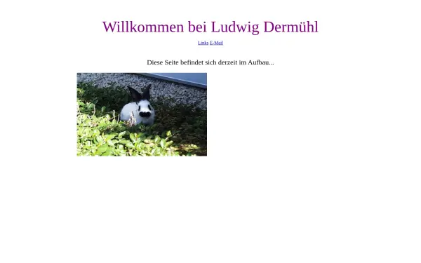 dermuehl.de