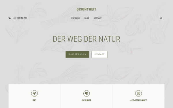 gisuntheit.de
