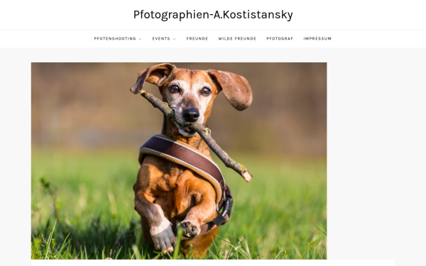 www.meintierfoto.at