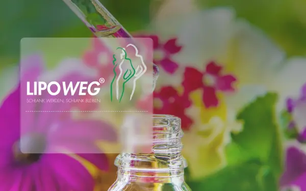 lipoweg.de