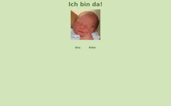 maximilian-feifel.de