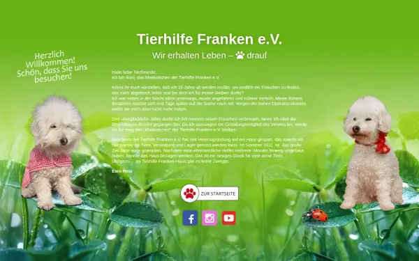 tierhilfe-franken.de