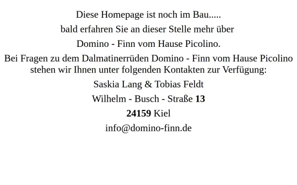 domino-finn.de