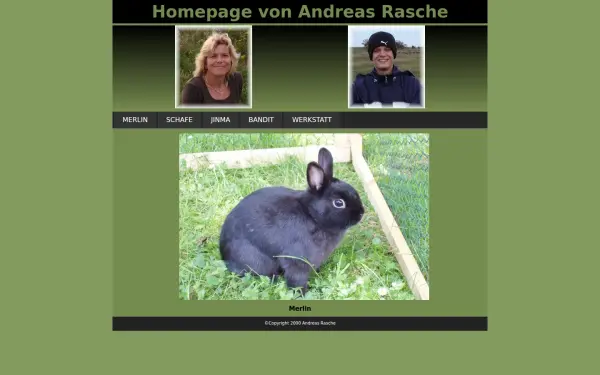 andreas-rasche.de