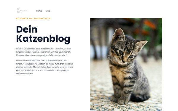 katzenfreund.ch