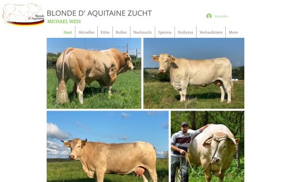 www.blonde-weis.de