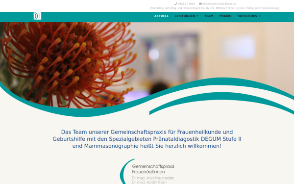www.neumeister-thein.de