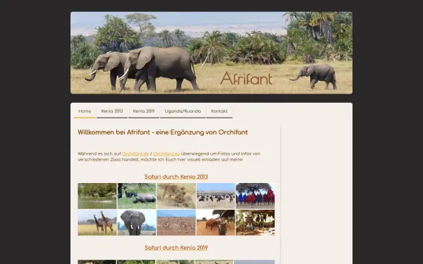 www.afrifant.de