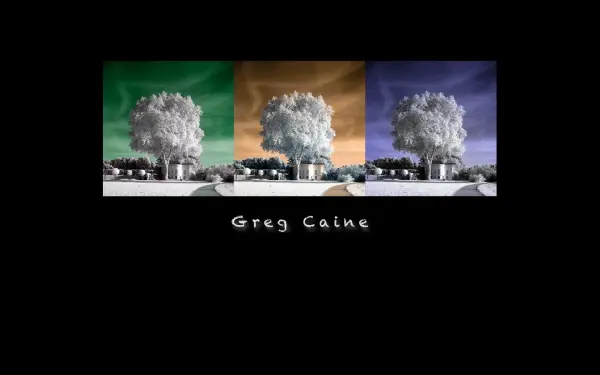 gregcaine.de