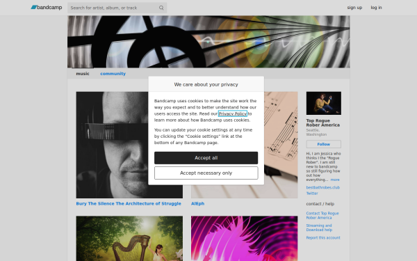 roguerecordsamerica.bandcamp.com