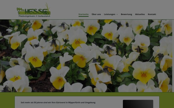 www.blumen-hesse.de