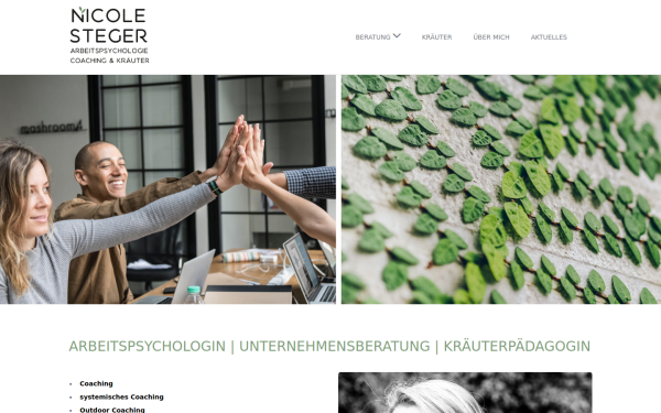 nicolesteger.at