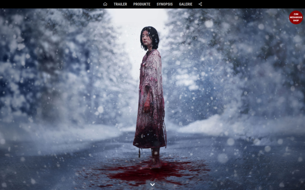the-witch-film.de