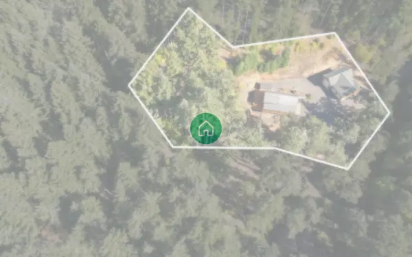 23835greasycreek.com