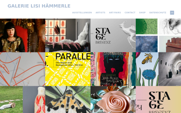 www.galerie-lisihaemmerle.at