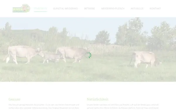 guenztal-weiderind.de