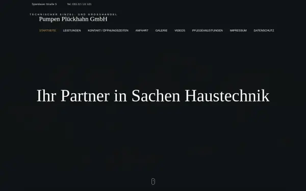 pumpen-plueckhahn.de