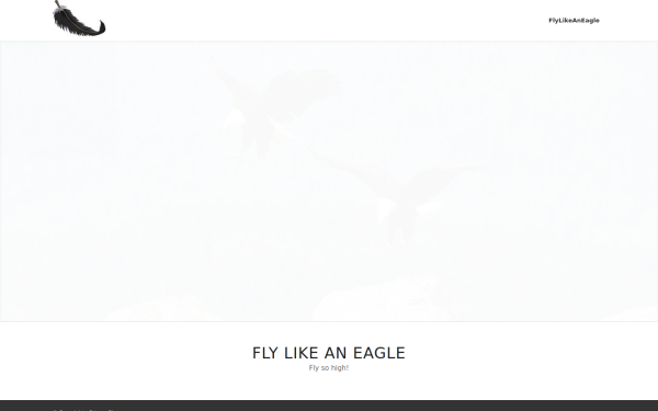 flylikeaneagle.de
