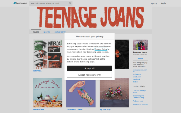 teenagejoans.bandcamp.com
